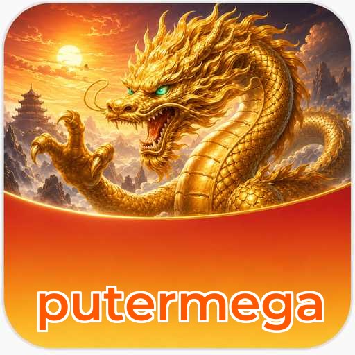 putermega FAQ